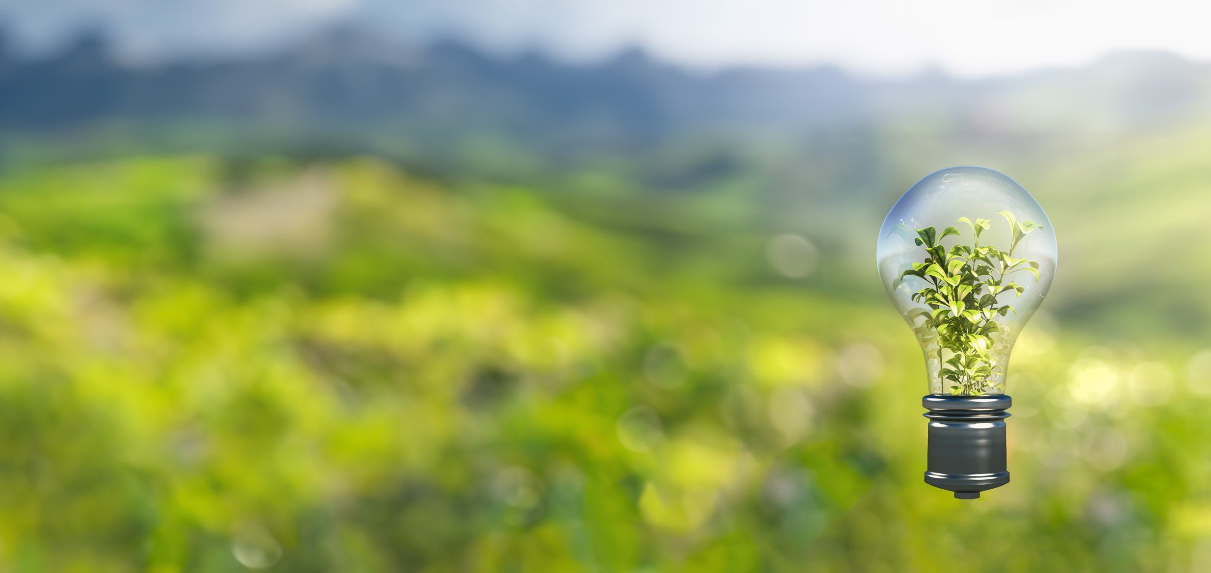 Strom Glühbirne in der Natur