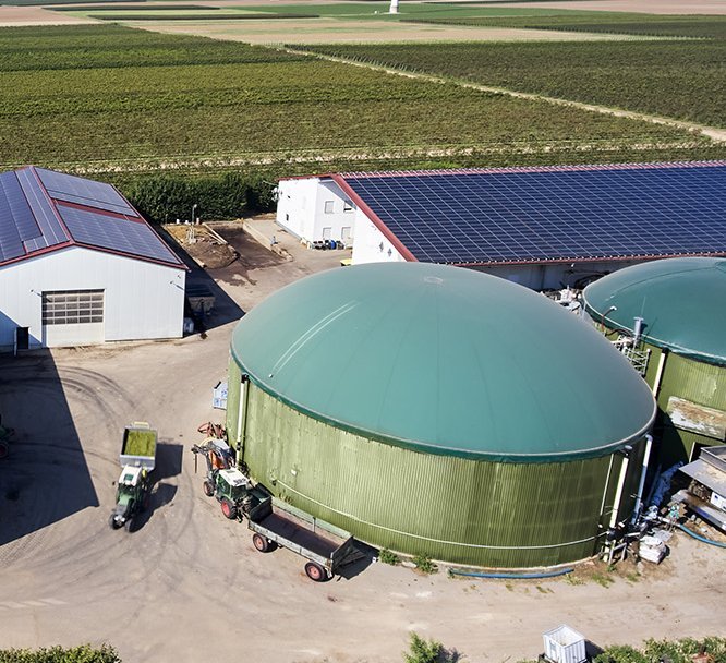 BergStrom Business BergStrom Business