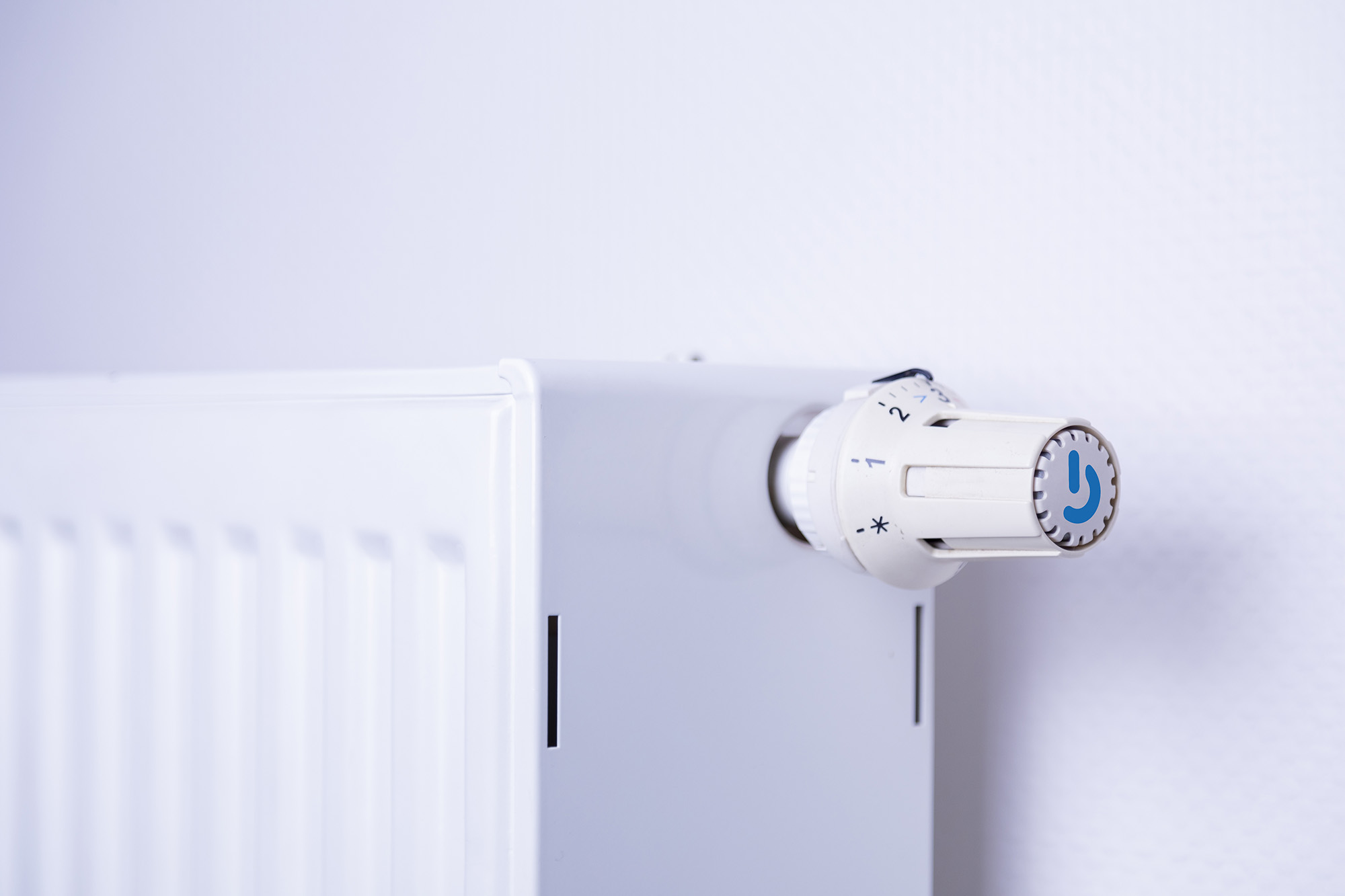 BergGas Natur Ausschnitt eines Heizkörpers an einer weißen Wand